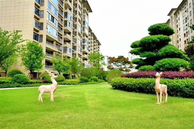 捡漏佳州锦苑140平方138万多套