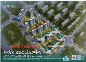 碧桂园泊里蔚200平，售价358万直接