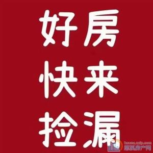 房东急卖，天铂佳苑，精装，115平126