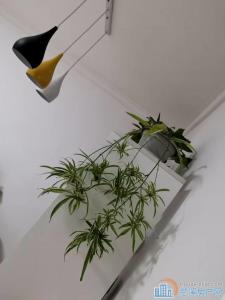 出售群英中心公寓精装修39.8万