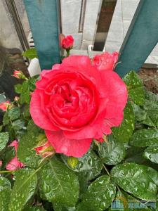 东方明珠多套岀租