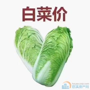 历史新低 恒大河悦府127平69.8万