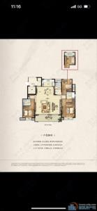 阅江府162平229万