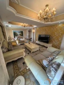 城市桃源顶复电梯166复166平豪装