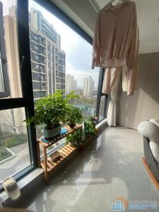 江樾潮启