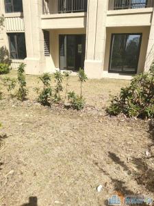 秒杀 青溪云庐 电梯洋房 带朝南大花园 