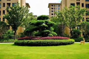 佳洲锦苑洋房120平方