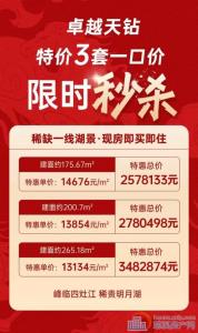 卓越天钻 特惠一口价单价13xxx