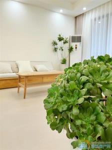 珑玥府112平精装3室2厅4500元/月