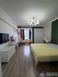 财富中心 48平  45万