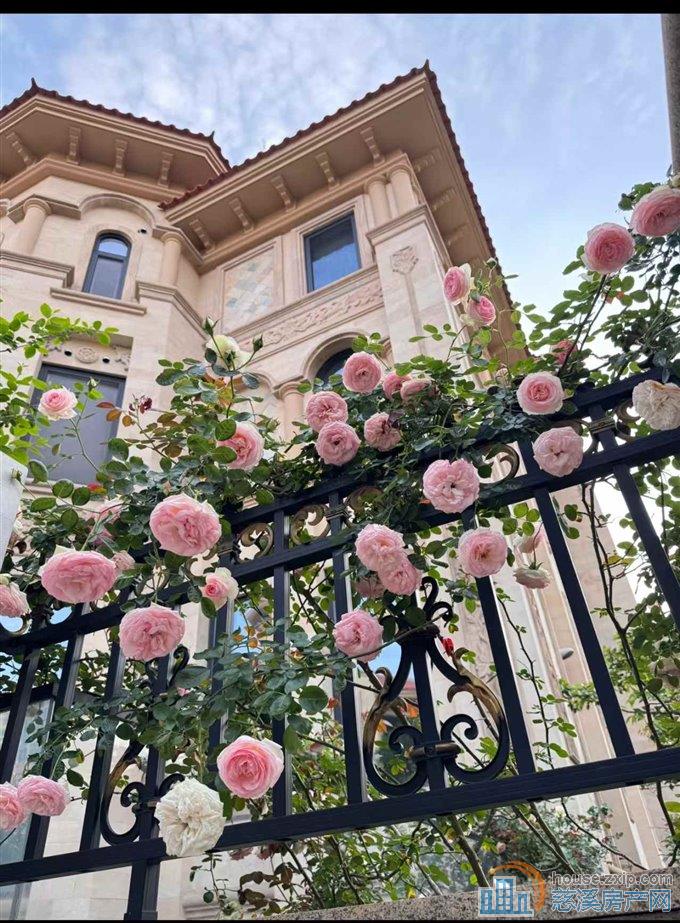 清水湾独栋别墅360豪装2200万