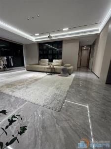 青樾府 豪华装修 大平层 带车位