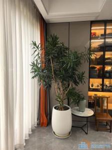 洋房！阅江府 143平238万精装带车位