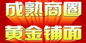 解放中街旁新天地店面房287平278万