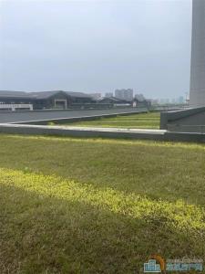 泊誉里 朝南五间大平层 稀缺洋房，带露台