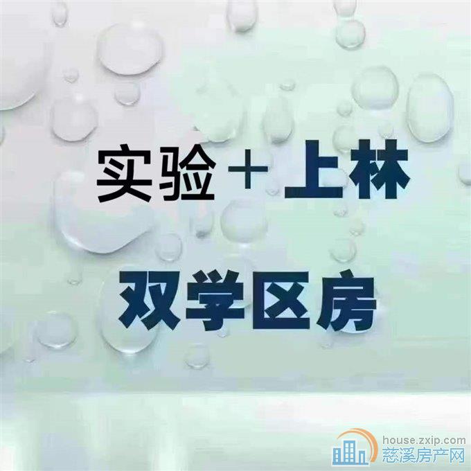 实验小学+上林中学都无占用誉林府豪装直接