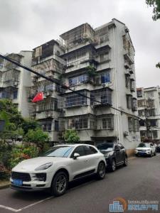 ✔金山新村✔多套，加V