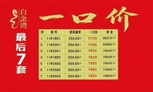 白金湾205平大平层 150万