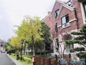 柏顿嘉园叠墅上叠复式256平218万2年