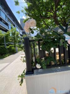 128万拿下带花园的房子中海湖心半岛花苑