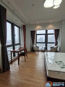 海铂中心 湖景房 全新精装没住过