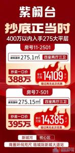 紫阙台275大平层工抵房特价出售