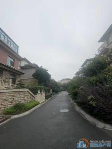 逍林壹品苑独栋别墅615平2100万车库
