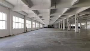 周巷有证土地15.5亩，建筑18000平