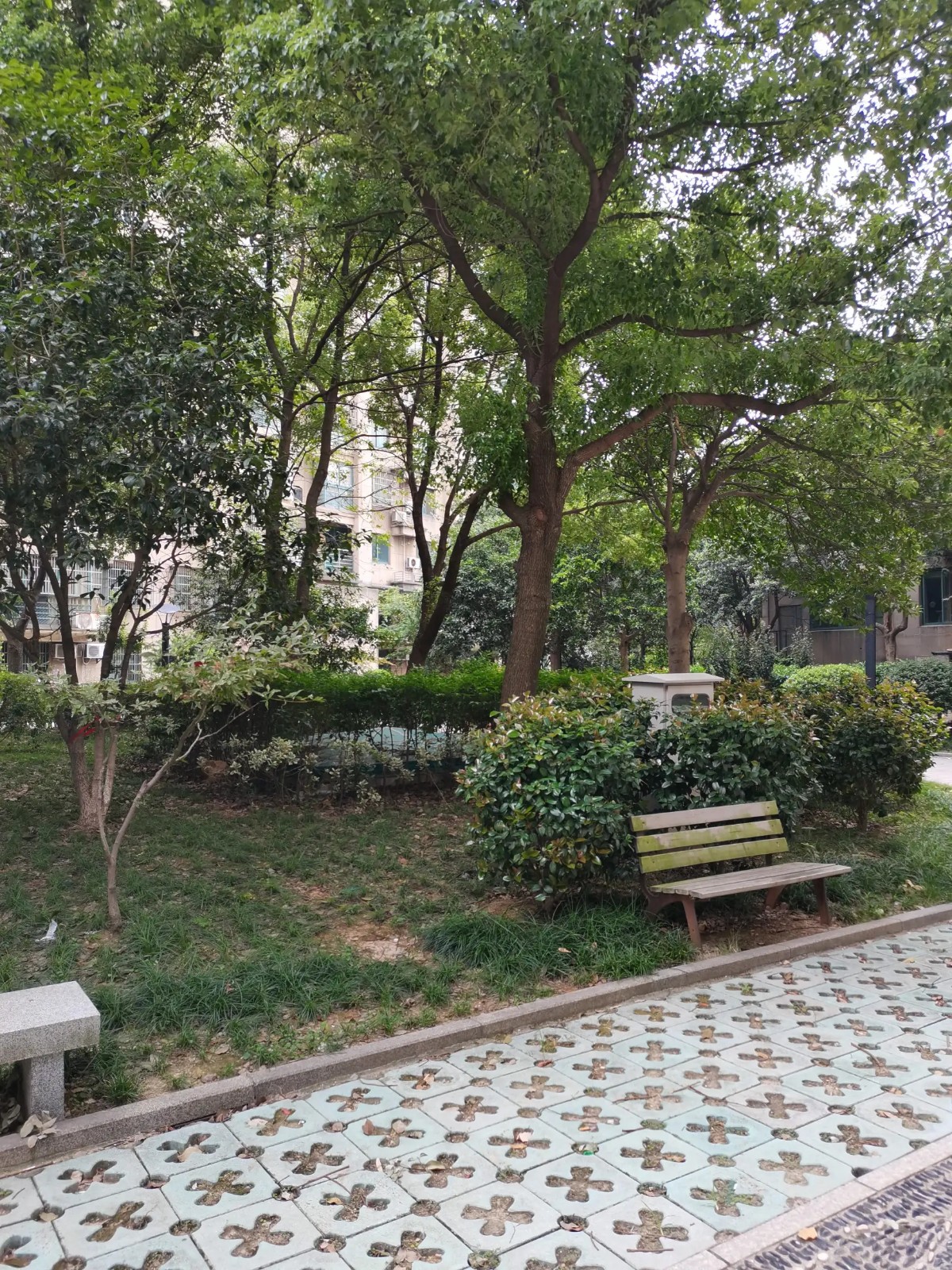 高丰家园 精装，满五年，带车位