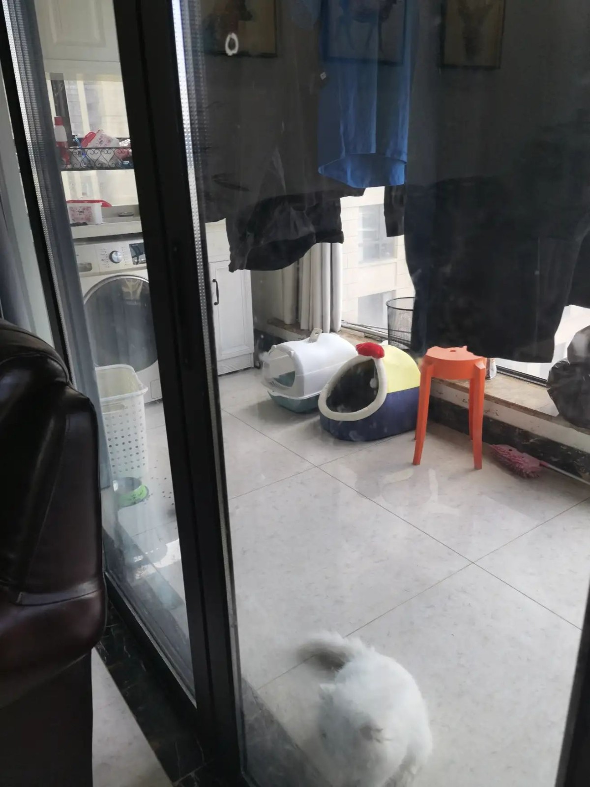 保利慈悦湾花苑 精装修 满五唯一