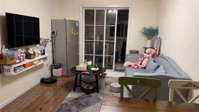 东方明珠55平豪华装修特价69万