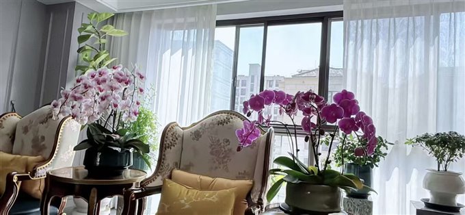 锦尚府上叠185.8平方豪装