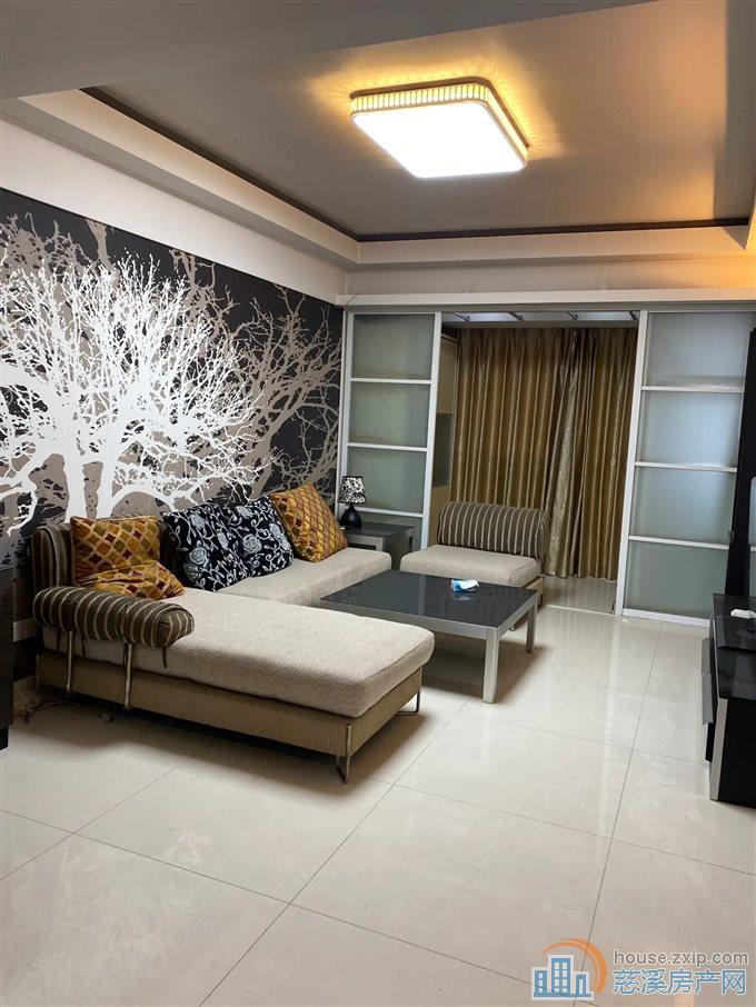 丽都苑 精装 凤凰楼层 带车位