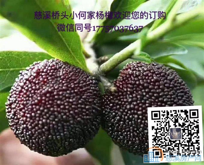 锦绣花园43平朝北好楼层满两年可读书