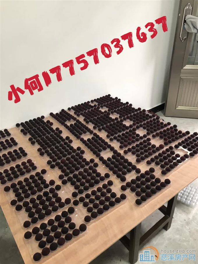 实验小学XQ房多套金旦花园37平