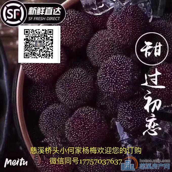 捡漏来海铂中心63平精装修黄金楼层
