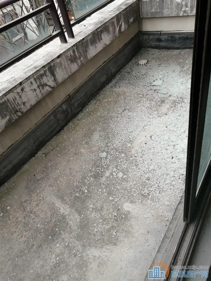 周巷双拼别墅 壹鼎院 西边套 