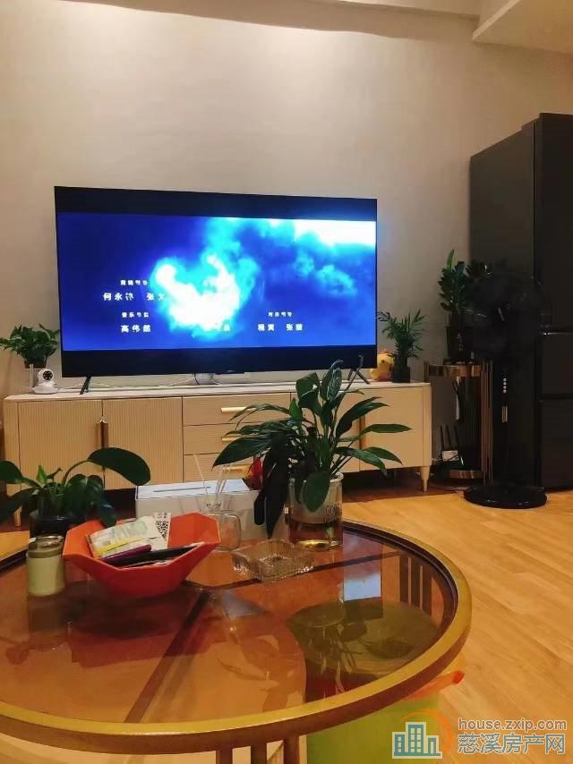 海铂中心朝南精装单身公寓61平55万