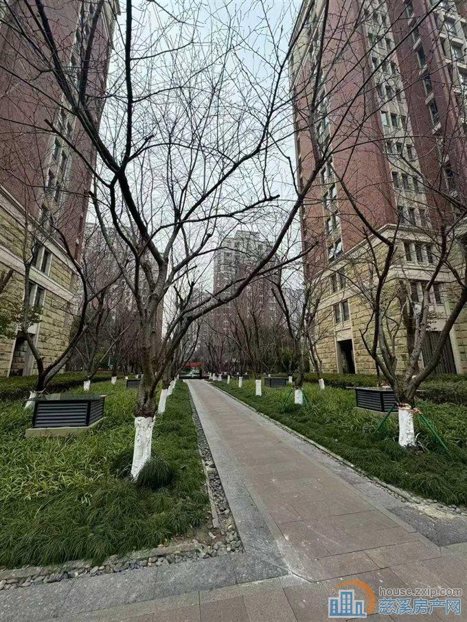 双喜花园.紫园 东边套194平