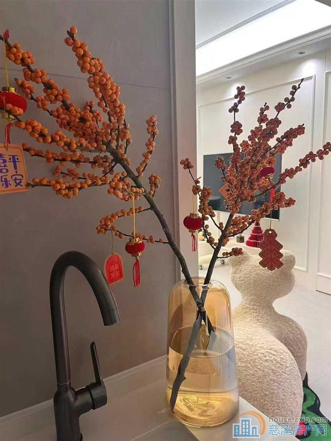 LW蔚蓝云图95平方法式豪华装修直接房源
