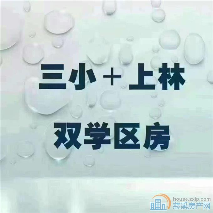 泰悦公寓48平精装修三小+上林