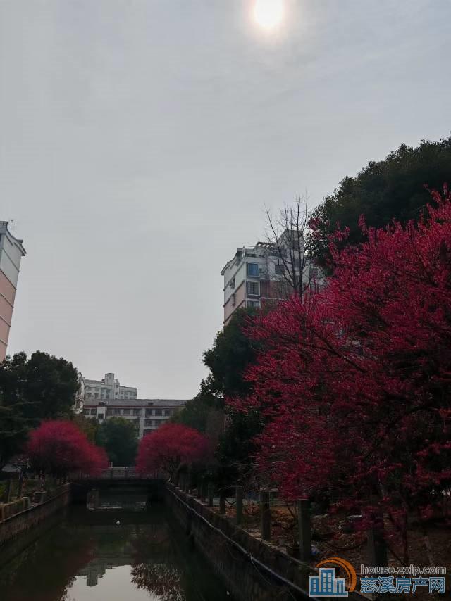 缔景湾楼层佳152平精装228万2车位