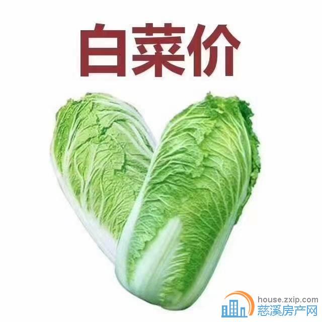 尚德家园95平储藏室76.8万