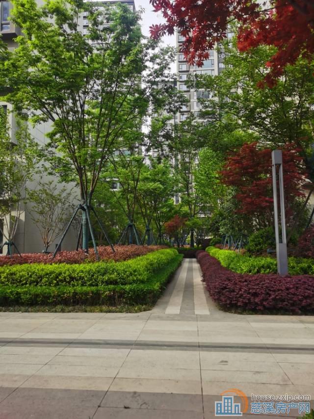 泊蔚里151平236万多套直接房源钥匙在