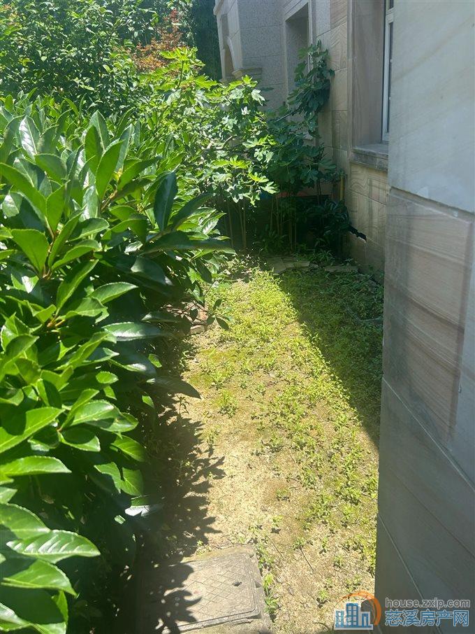 伊顿花苑 联排别墅 带前后花园