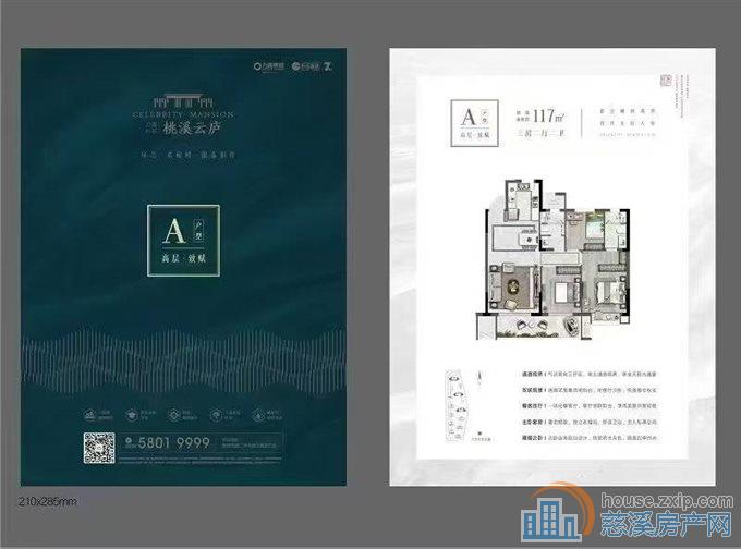 桃溪云庐电梯房117平东边套150万