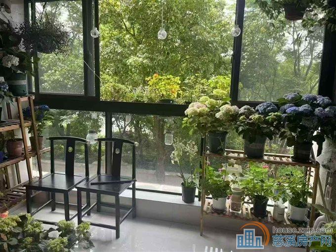 绿城诚园113平低楼层，踩光非常好