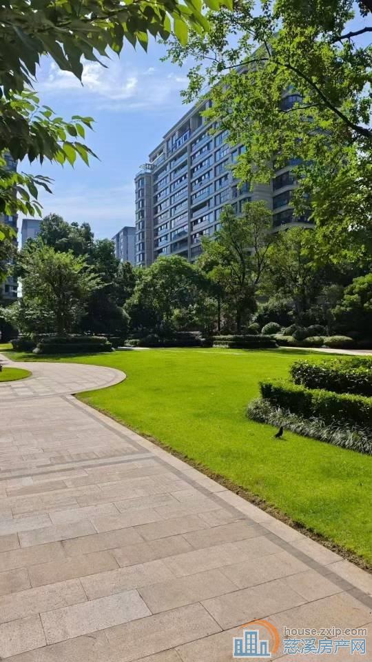 绿城慈园170平➕车位豪装328万