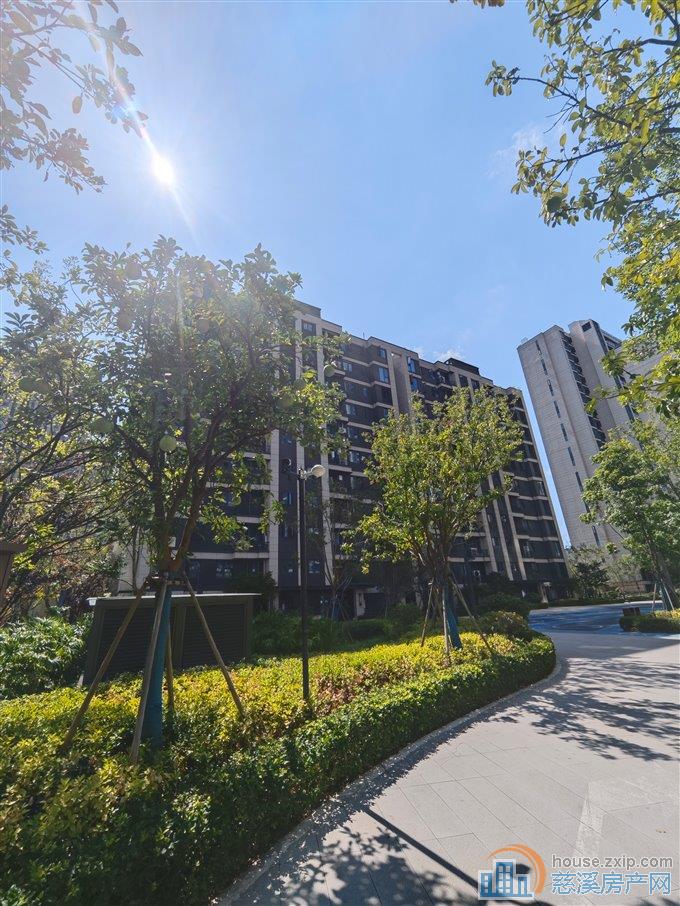 特价急卖江樾潮启4室一口价直接钥匙在
