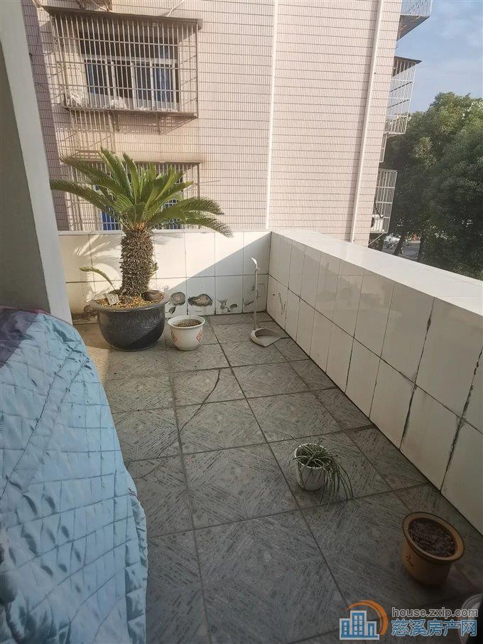 实验公寓155平160万满五唯一